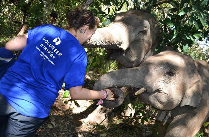 how to volunteer in thailand can i volunteer in thailand can you volunteer in thailand thailand volunteer with elephants volunteer with animals in thailand volunteer trips to thailand volunteer program for thailand volunteer thailand org volunteer thailand free accommodation volunteer thailand free volunteer thailand elephants volunteer thailand dogs volunteer thailand elephants volunteer thailand free accommodation volunteer thailand free volunteer thailand volunteer thailand dogs thailand volunteer programs thailand volunteer teaching english where to stay and volunteer in thailand where to stay and volunteer in thailand volunteer for stray dogs in thailand volunteer with elephants in thailand where to stay and volunteer in thailand volunteer to help elephants in thailand volunteer to teach english in thailand volunteer thailand elephants volunteer thailand animals volunteer thailand elephants volunteer thailand animals volunteer in thailand thailand volunteer programs elephant sanctuary thailand volunteer work volunteer work in thailand thailand elephant sanctuary volunteer job thailand volunteer