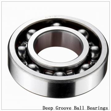 60/1000F1 Deep groove ball bearings