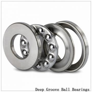 619/1700F1 Deep groove ball bearings