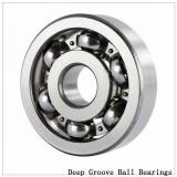 60/1060F1 Deep groove ball bearings